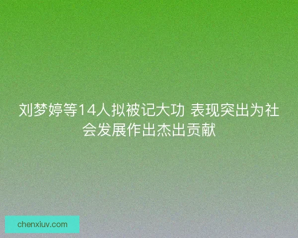 刘梦婷等14人拟被记大功 表现突出为社会发展作出杰出贡献