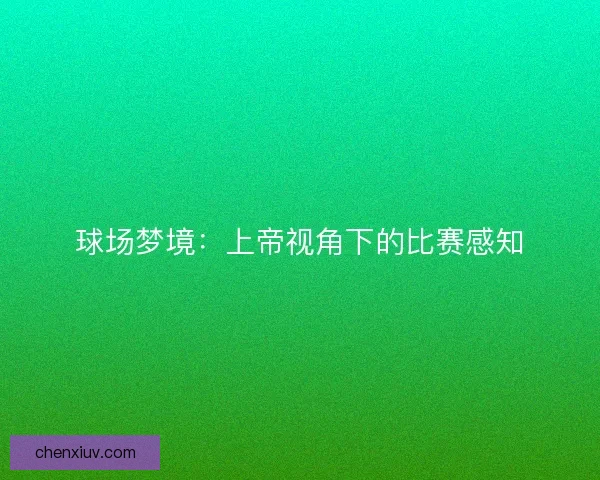球场梦境：上帝视角下的比赛感知