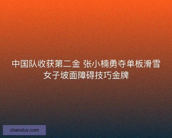 中国队收获第二金 张小楠勇夺单板滑雪女子坡面障碍技巧金牌 中国队收获第二金 张小楠勇夺单板滑雪女子坡面障碍技巧金牌